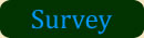 Survey