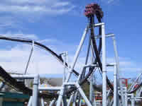 great bear