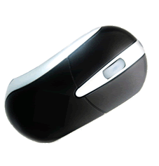 mouse